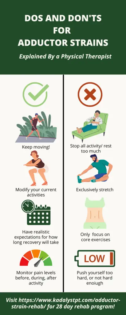 adductor strain rehab infographic