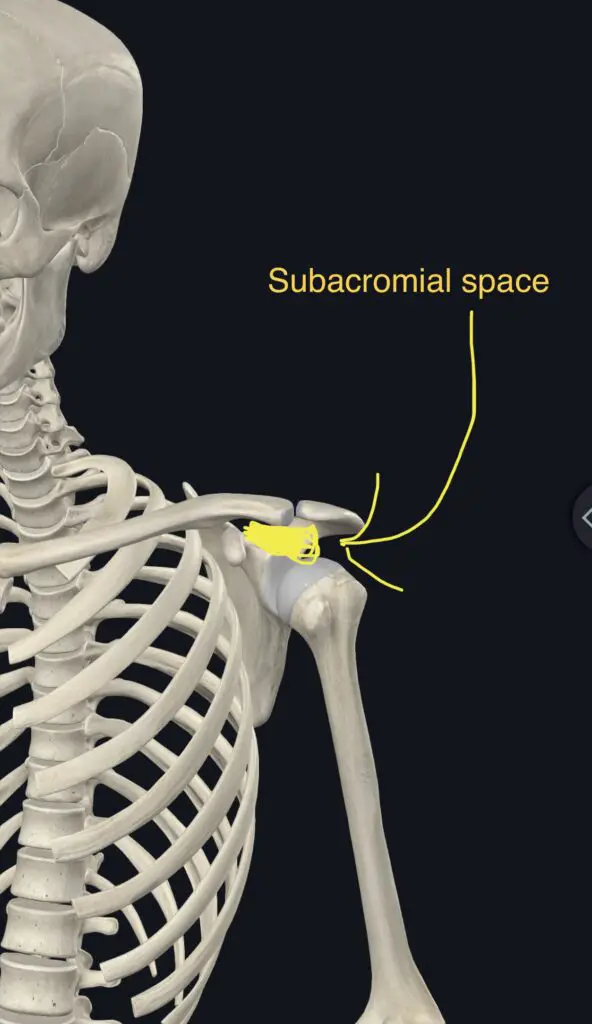 subacromial space picture
