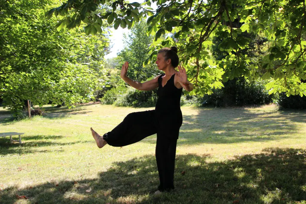 tai chi for seniors woman in black