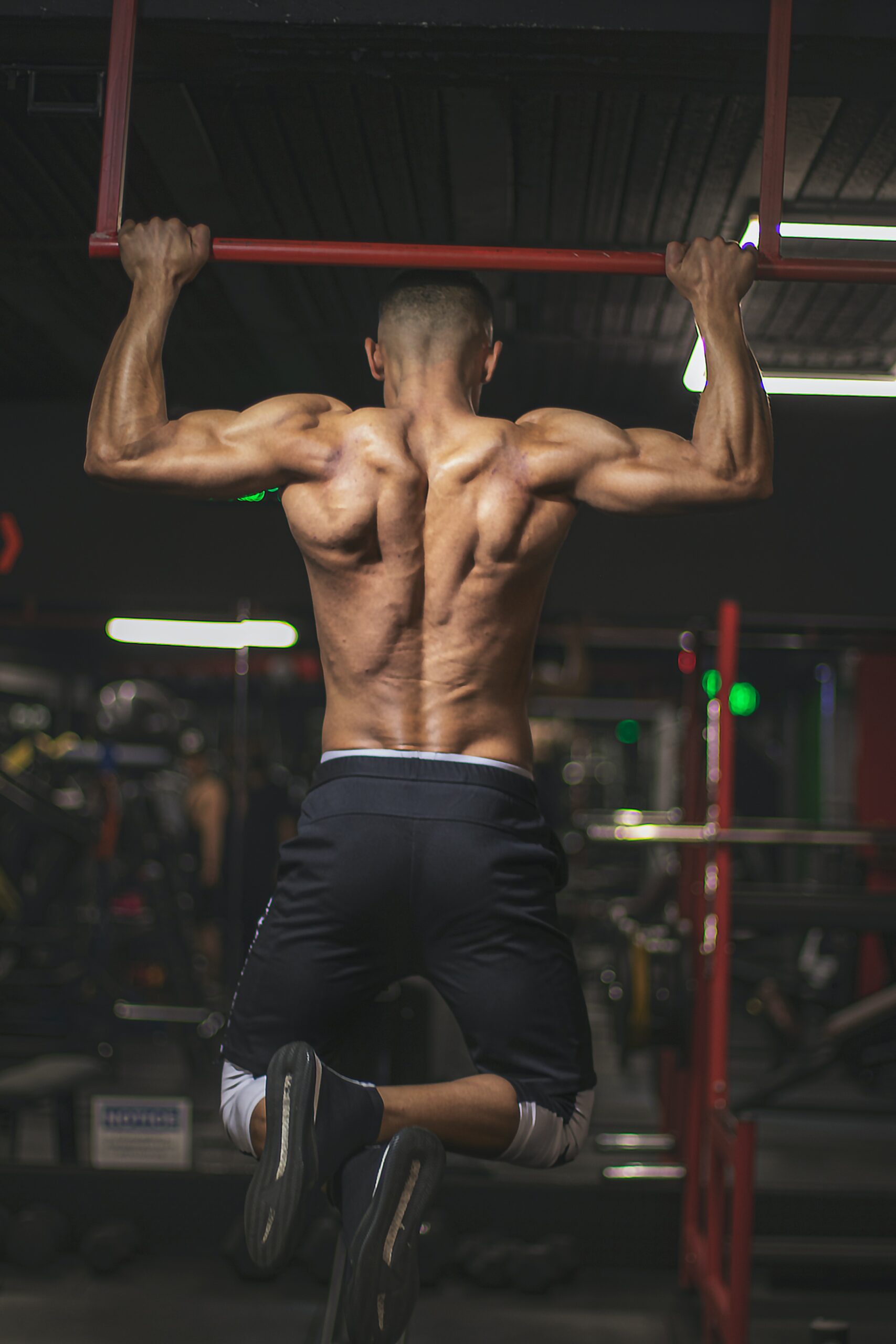 back muscles pull up